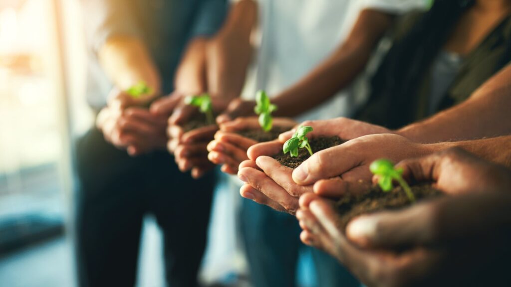 Growing committed disciples through the catechumenate