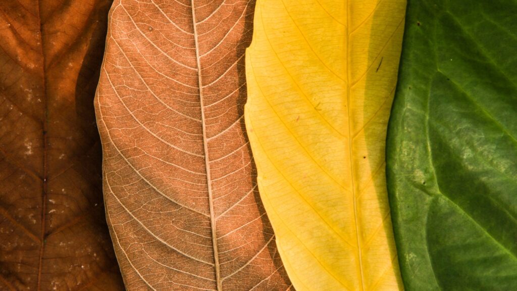 Why the liturgical year is your seekers’ best teacher